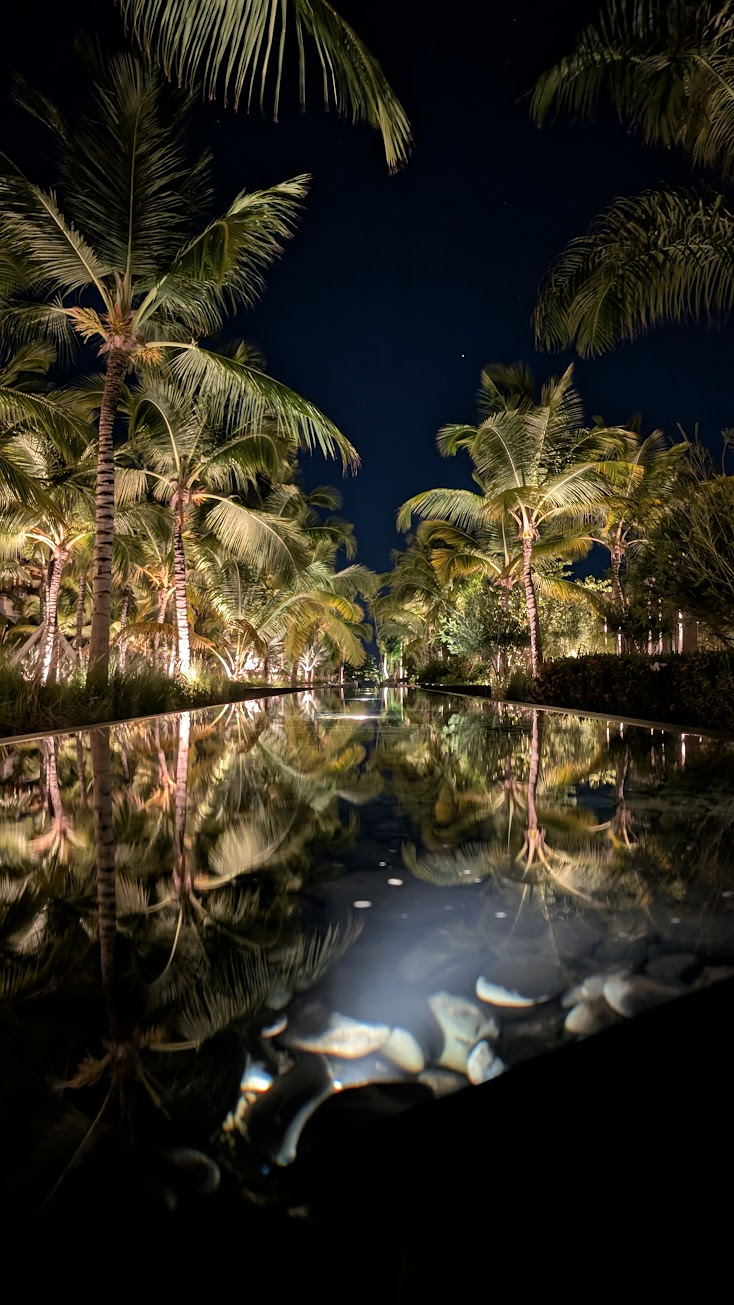 Tropical all-inclusive resort hidden gem with palm trees and pool